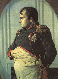 Наполеон в Петровском